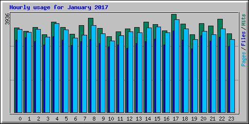 Hourly usage for January 2017