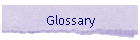 Glossary