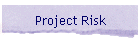 Project Risk