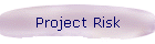 Project Risk