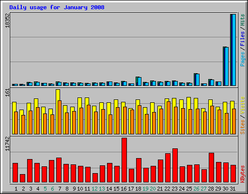 Daily usage for January 2008