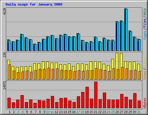 Daily usage for January 2009