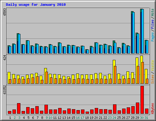 Daily usage for January 2010