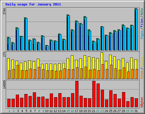 Daily usage for January 2011