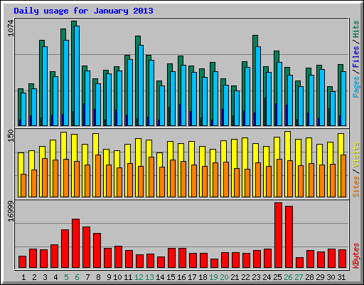 Daily usage for January 2013