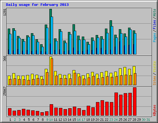 Daily usage for February 2013