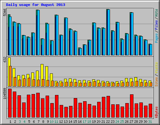 Daily usage for August 2013
