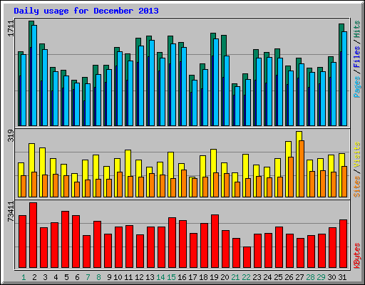 Daily usage for December 2013