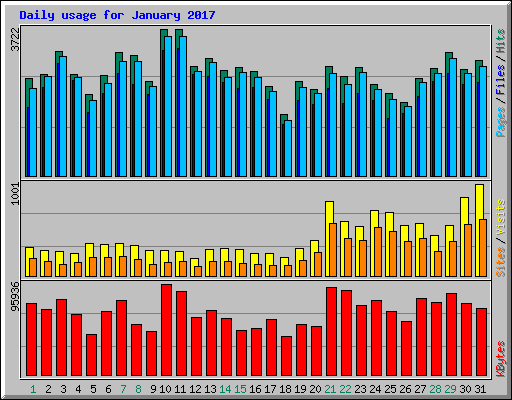 Daily usage for January 2017