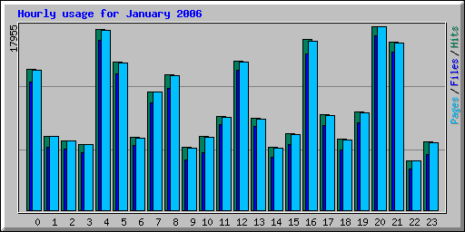 Hourly usage for January 2006