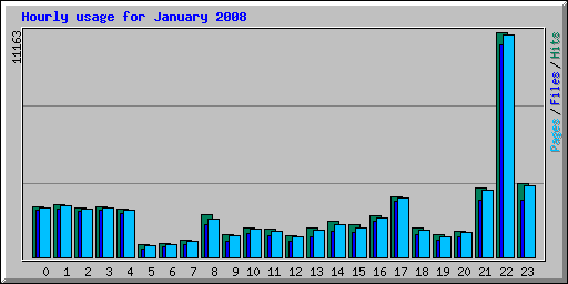 Hourly usage for January 2008