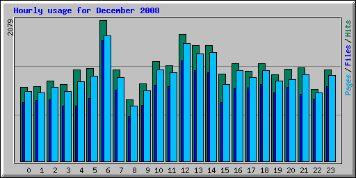 Hourly usage for December 2008