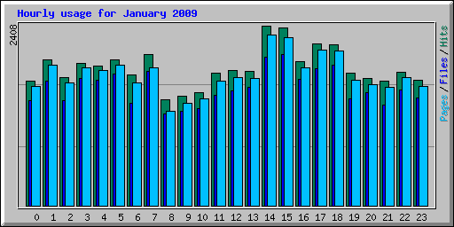 Hourly usage for January 2009