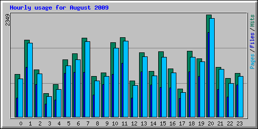 Hourly usage for August 2009