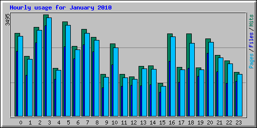 Hourly usage for January 2010
