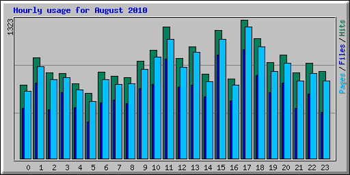 Hourly usage for August 2010