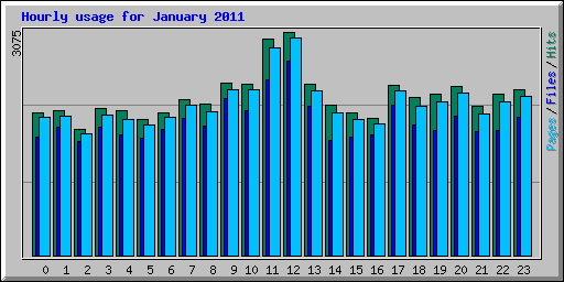 Hourly usage for January 2011