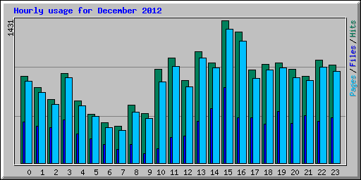 Hourly usage for December 2012