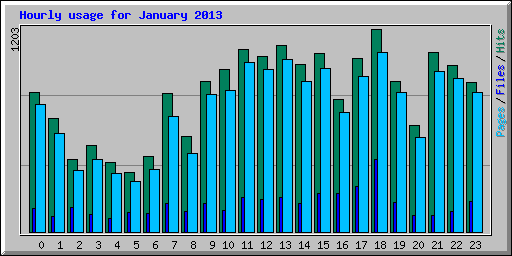 Hourly usage for January 2013