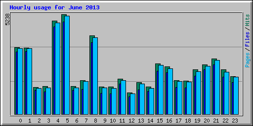 Hourly usage for June 2013