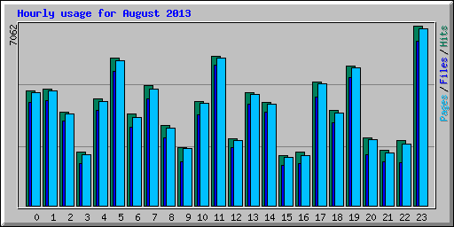 Hourly usage for August 2013