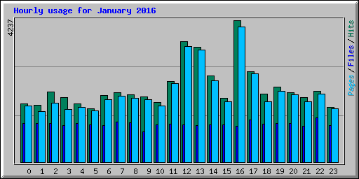 Hourly usage for January 2016