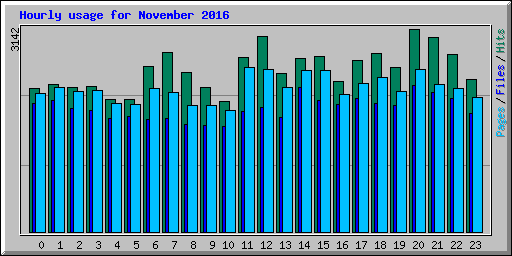 Hourly usage for November 2016