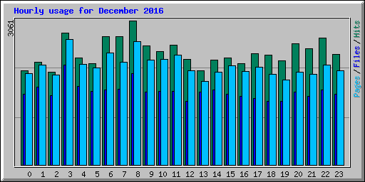 Hourly usage for December 2016